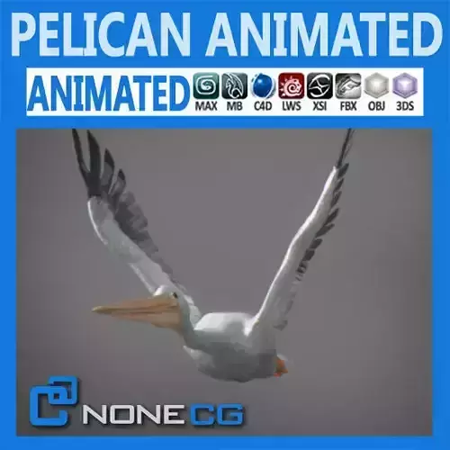 Animated Pelican 3D model