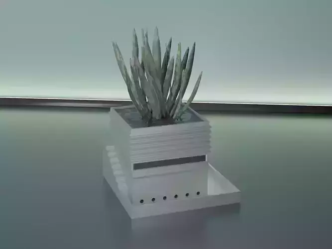 succulent plant pot 27 with drain holes 