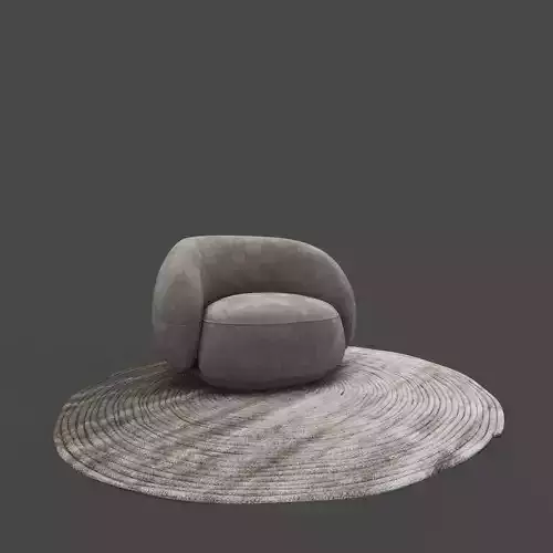 Armchair round chair on rug
