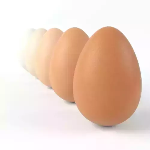 Realistic Egg with 4k PBR textures and 5 different colors