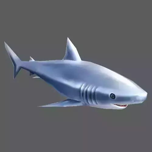 Shark