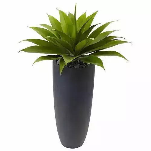 Artificial Agave Plant in Planter