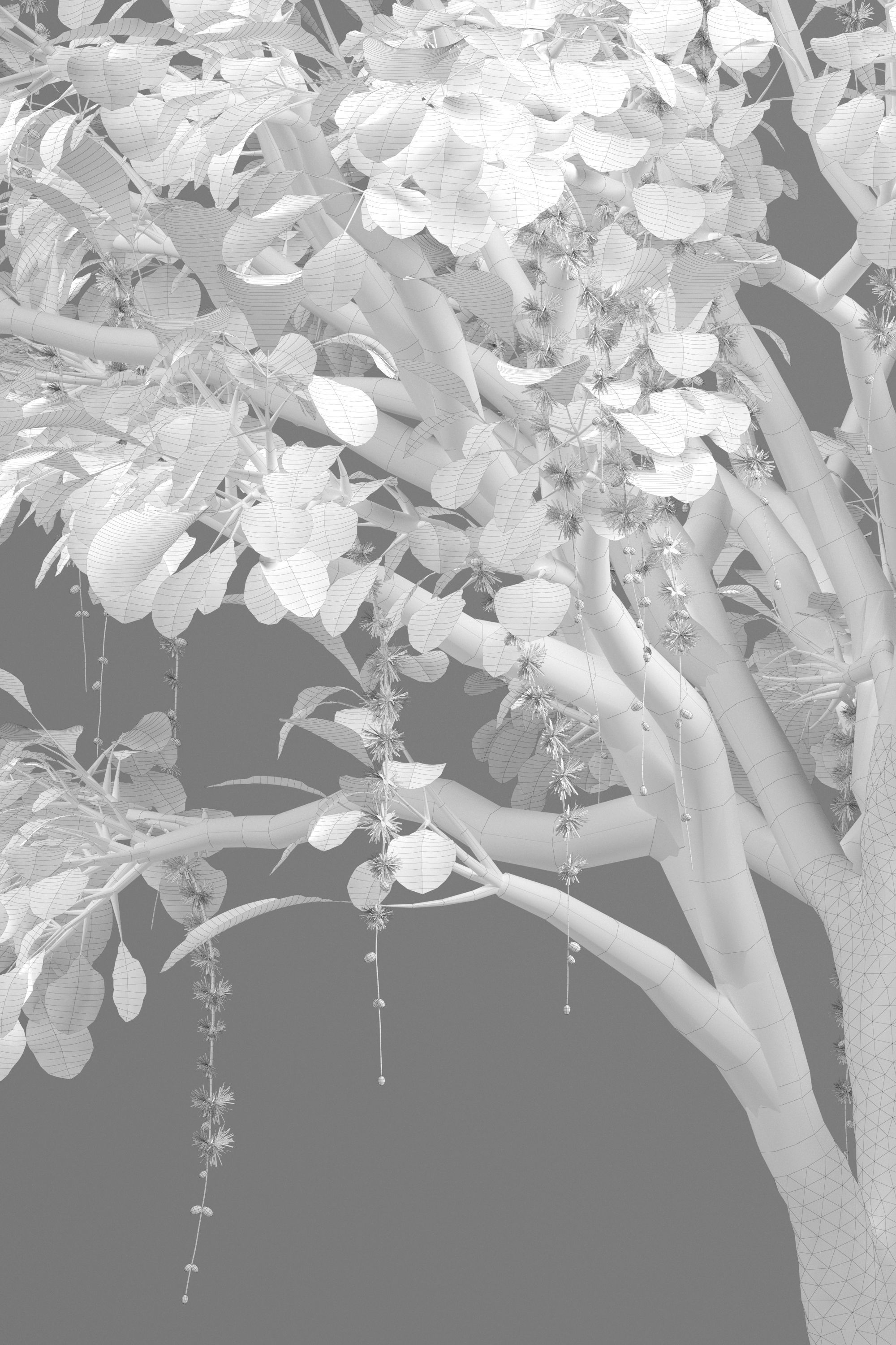 Barringtonia acutangula 3D model_3