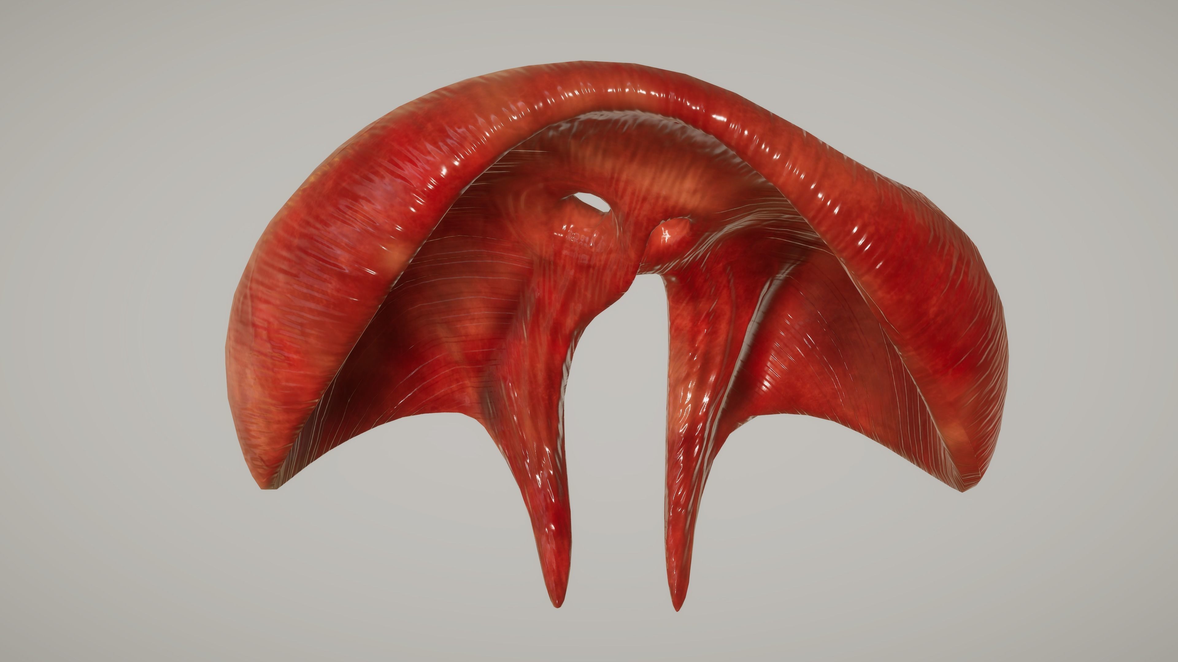 Human Organ System Low-poly 3D model_15