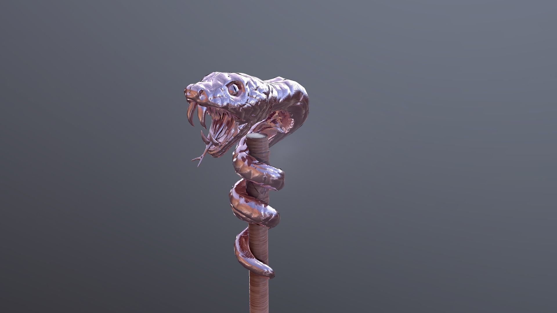 Snake stick Low-poly 3D model_16