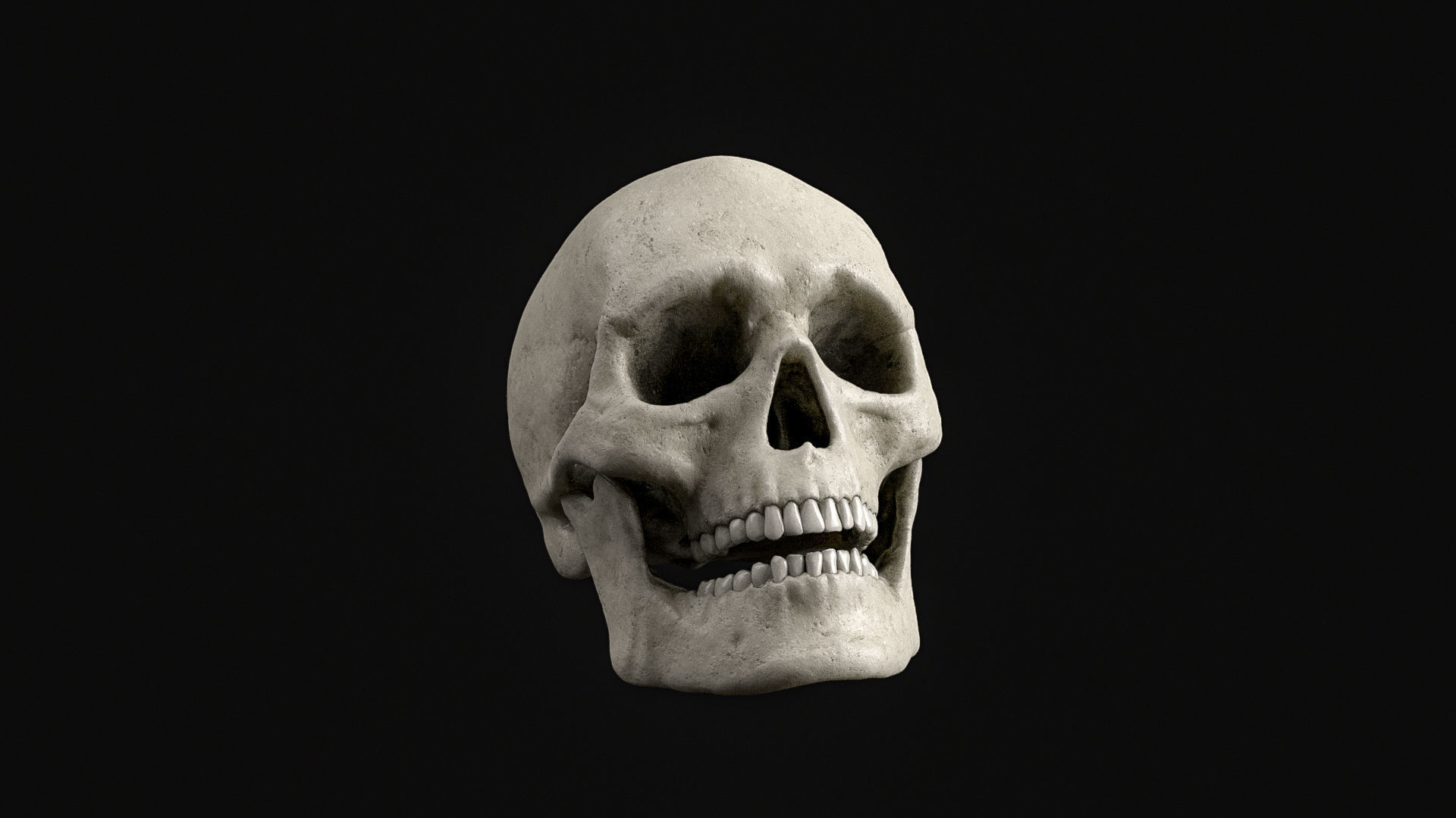 Skull Human Skeletal PBR 3D Scanned Low-poly 3D model_5
