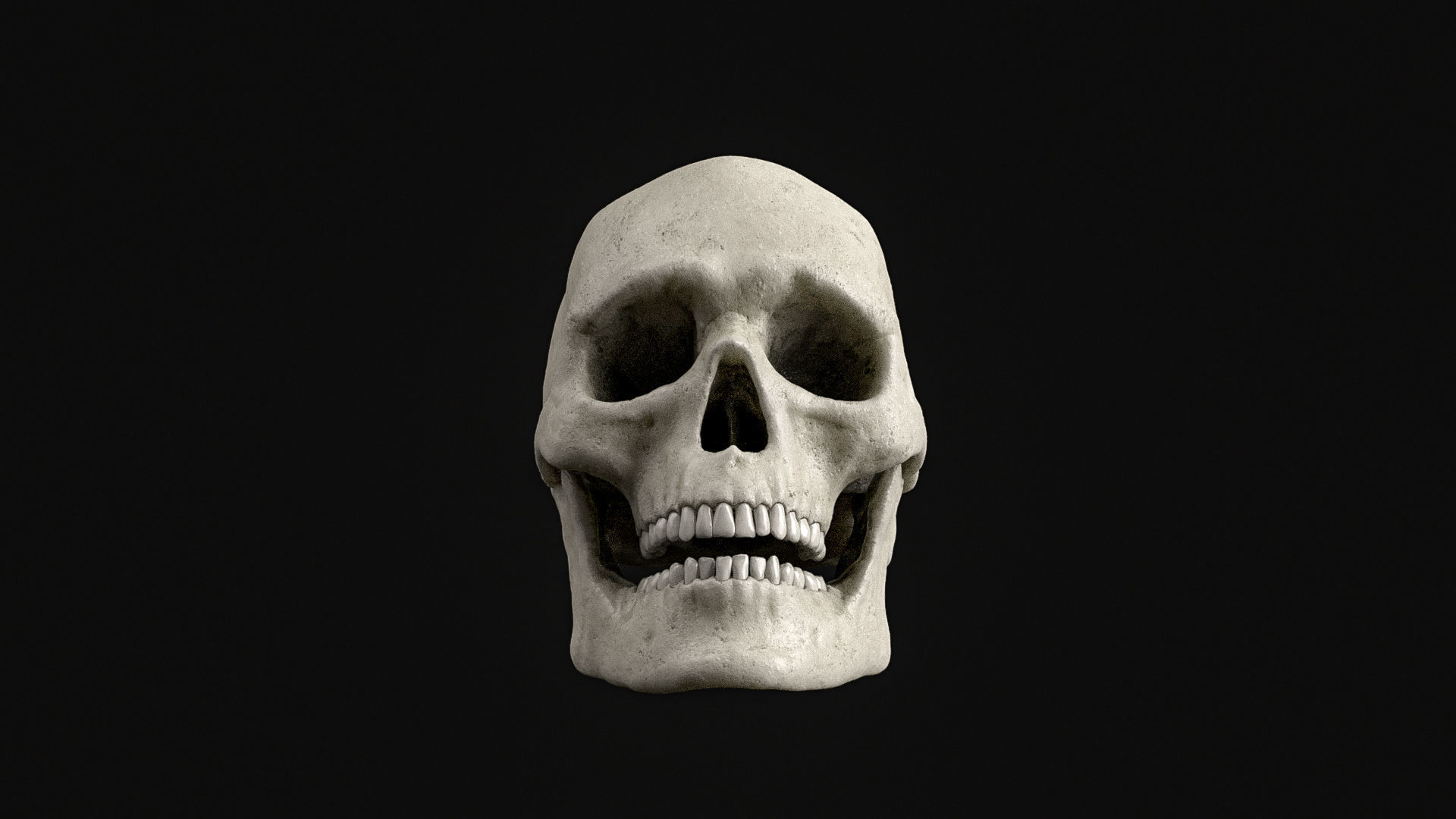 Skull Human Skeletal PBR 3D Scanned Low-poly 3D model_12