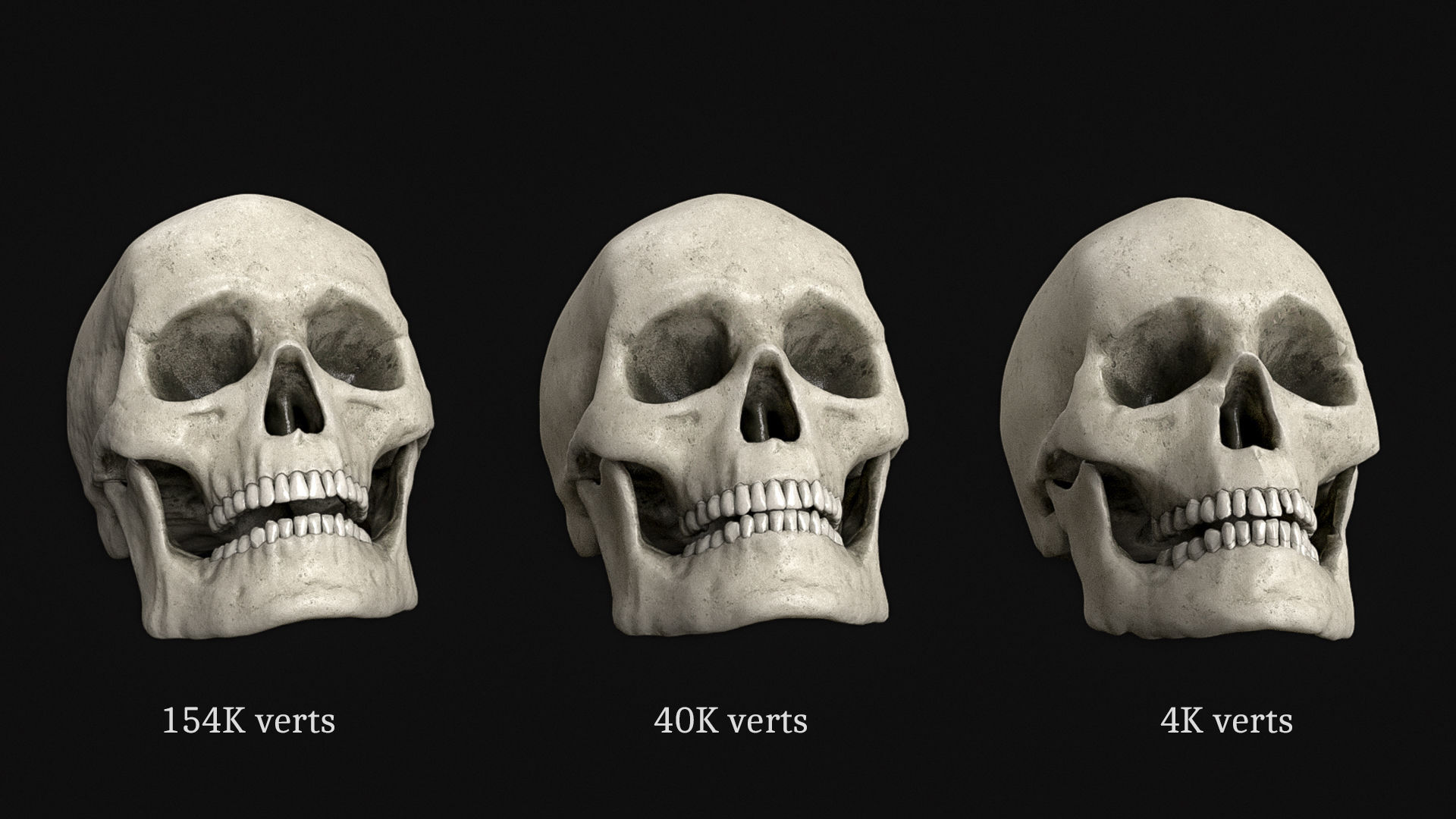 Skull Human Skeletal PBR 3D Scanned Low-poly 3D model_2