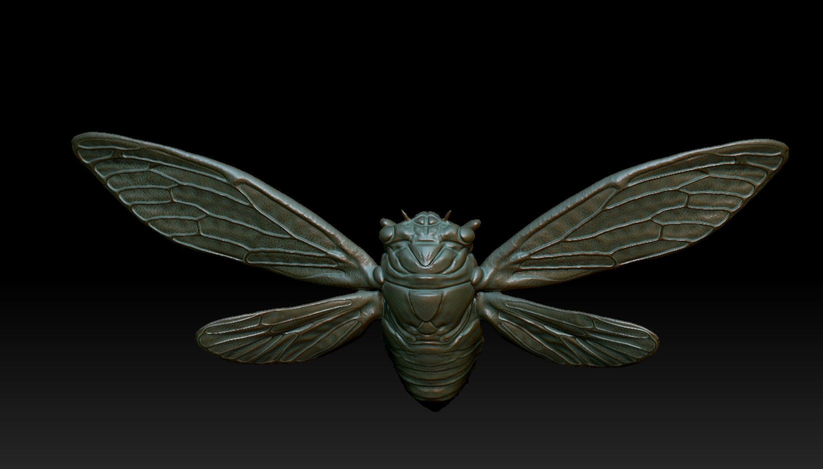 cicada new 3D print model_6
