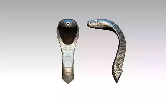 Cobra Snake Head part