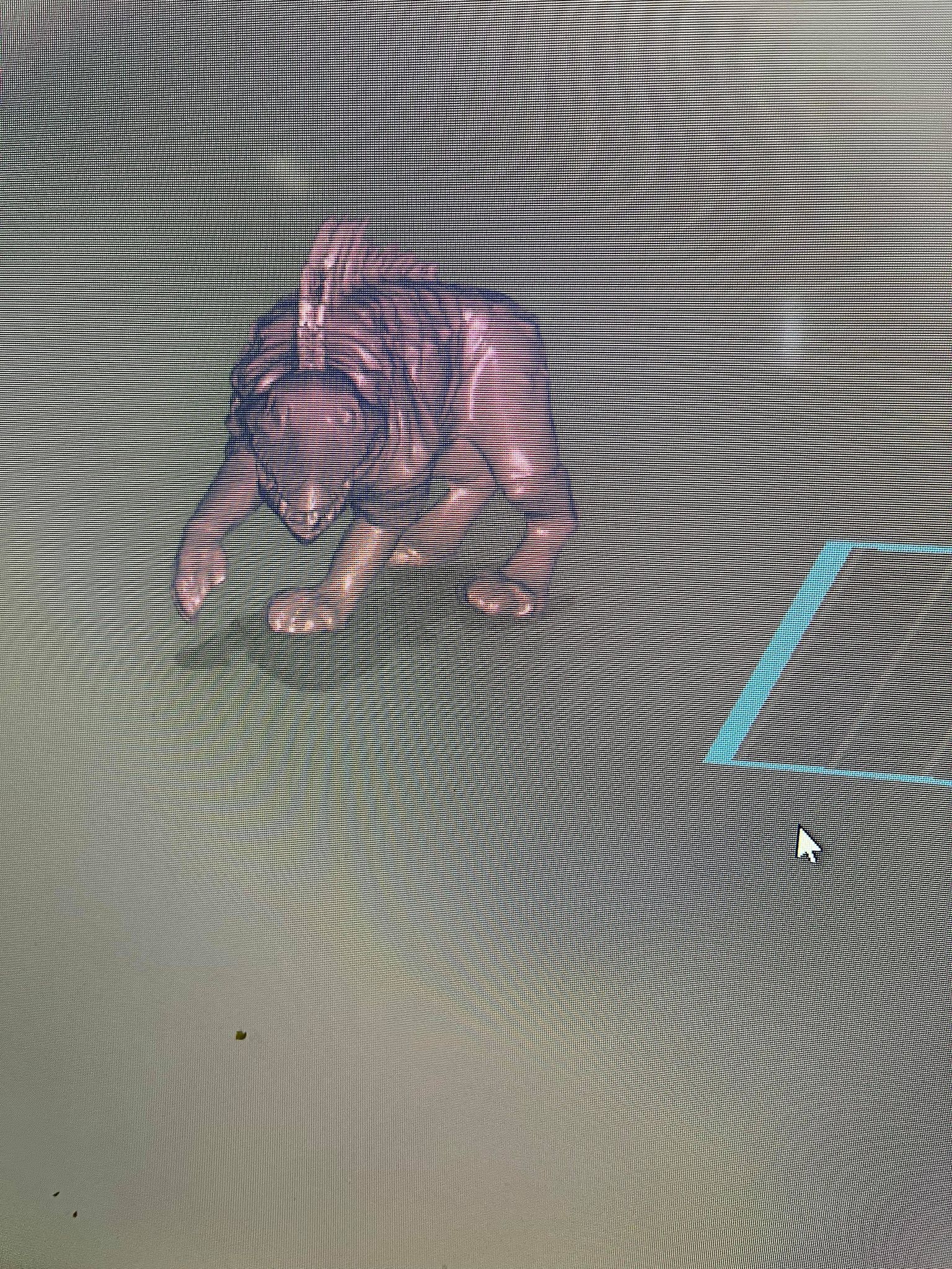 star wars dog 3D print model_3