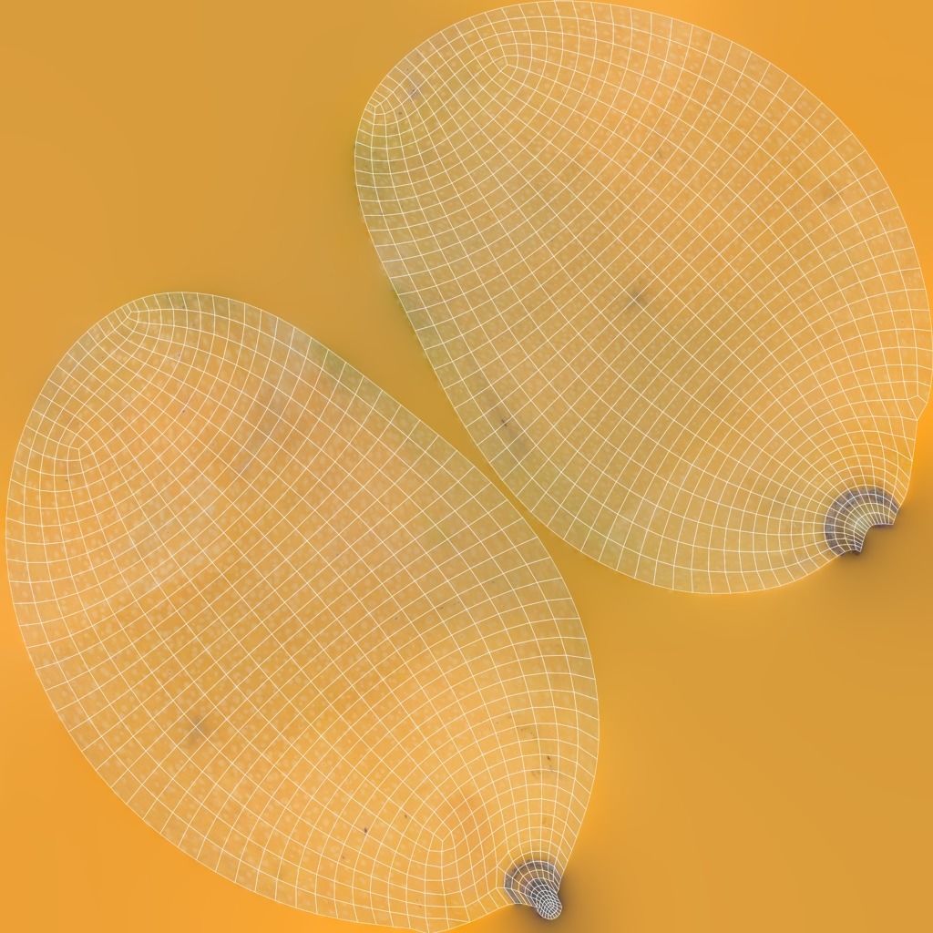 3D Fruit and Vegetable Collection 3D model_6