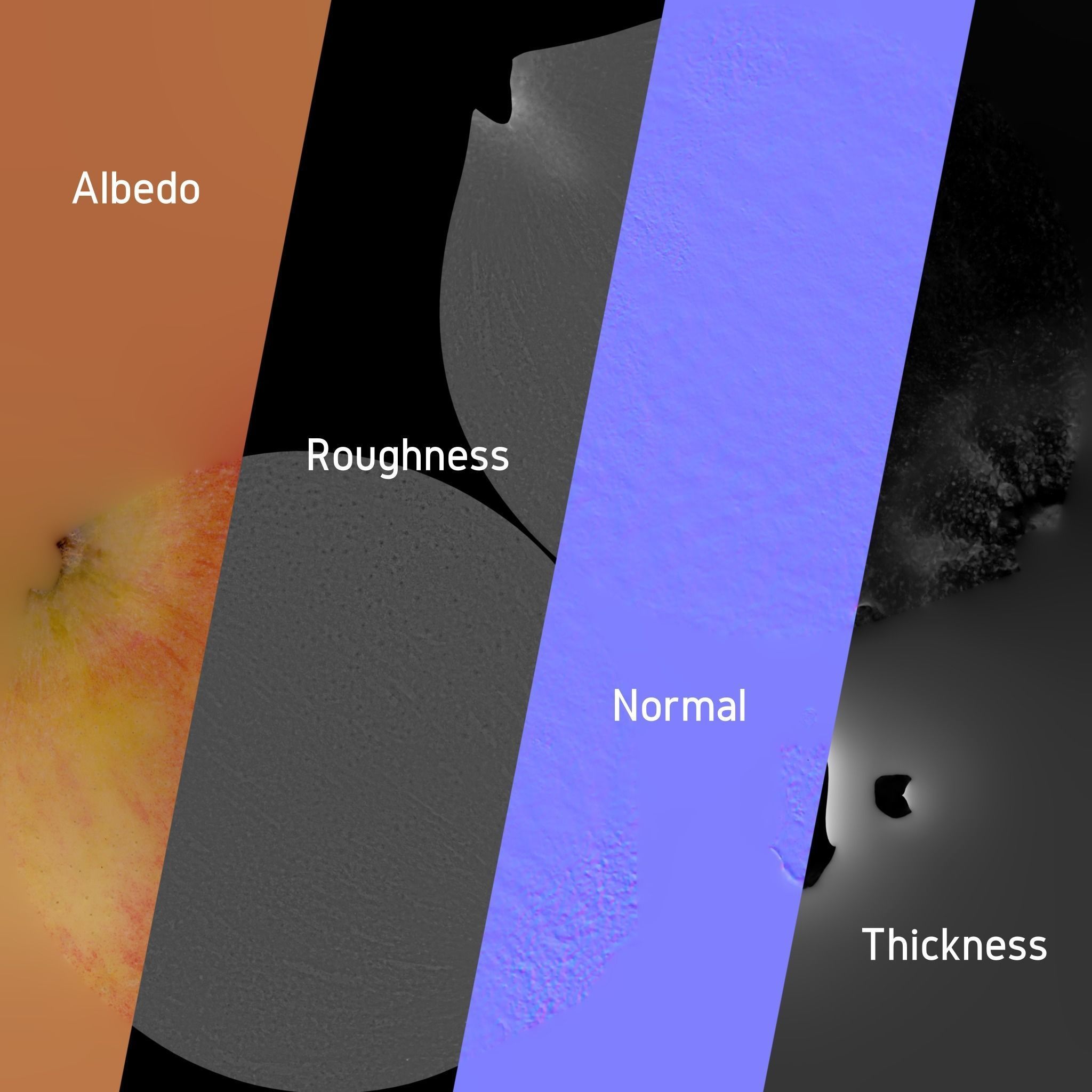 3D Fruit and Vegetable Collection 3D model_8