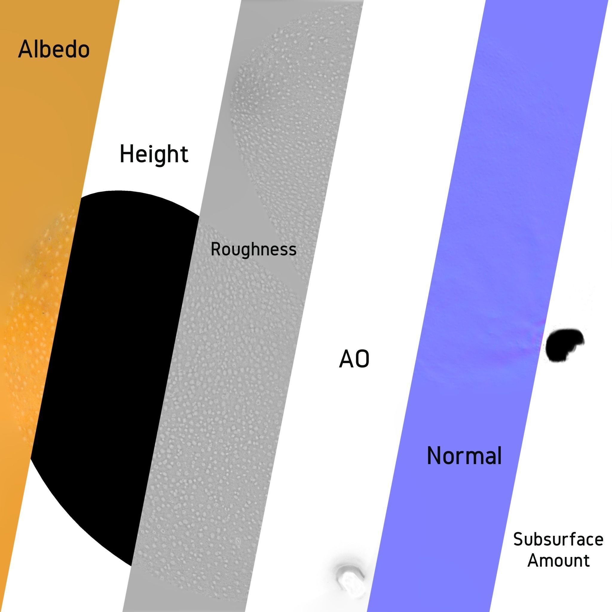 3D Fruit and Vegetable Collection 3D model_7