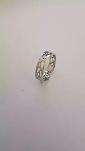 Voronoi Ring  1