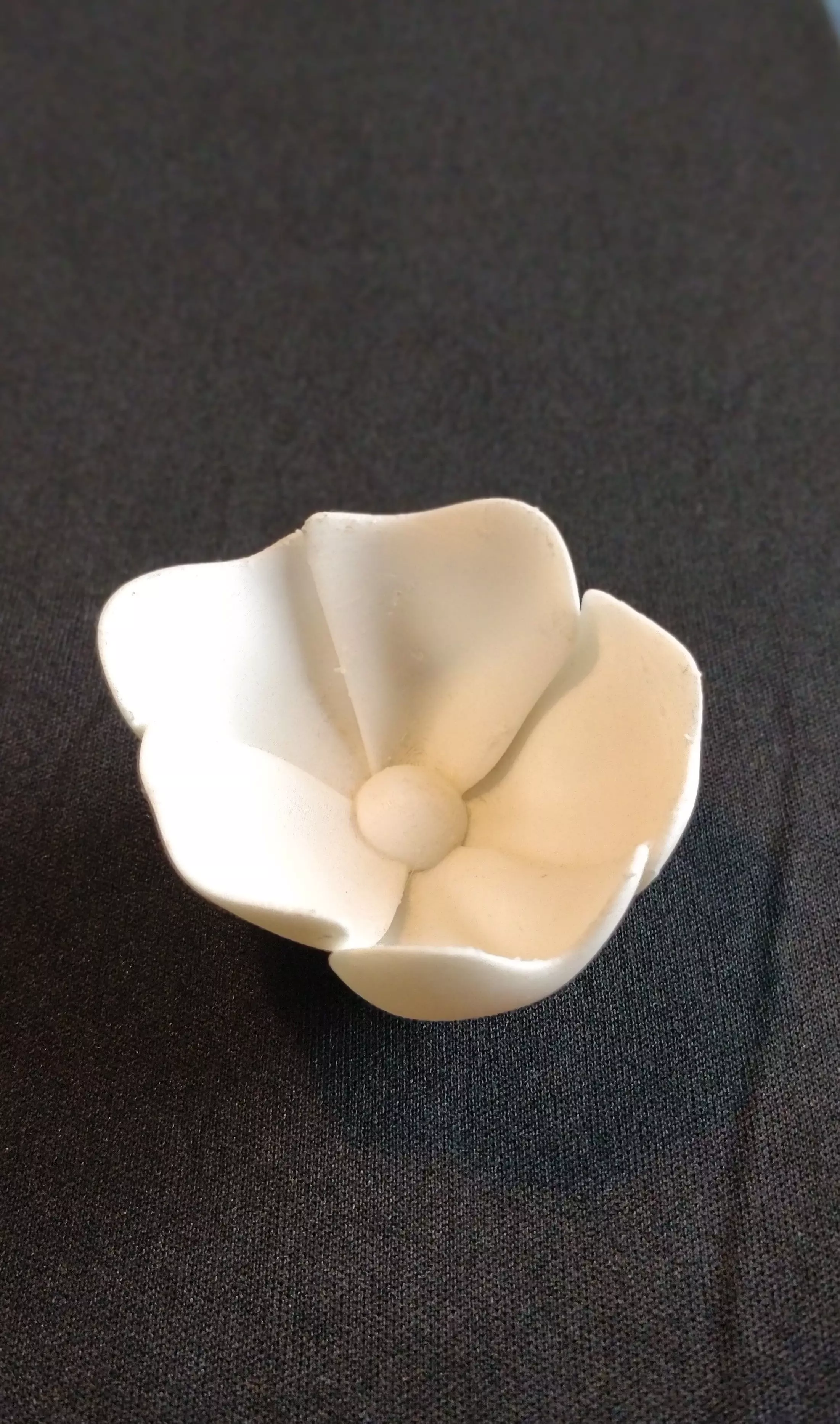 Dog-rose blossom 3D print model_0