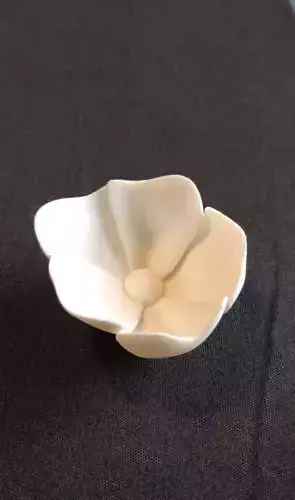 Dog-rose blossom 3D print model