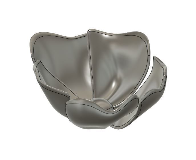 Dog-rose blossom 3D print model_5