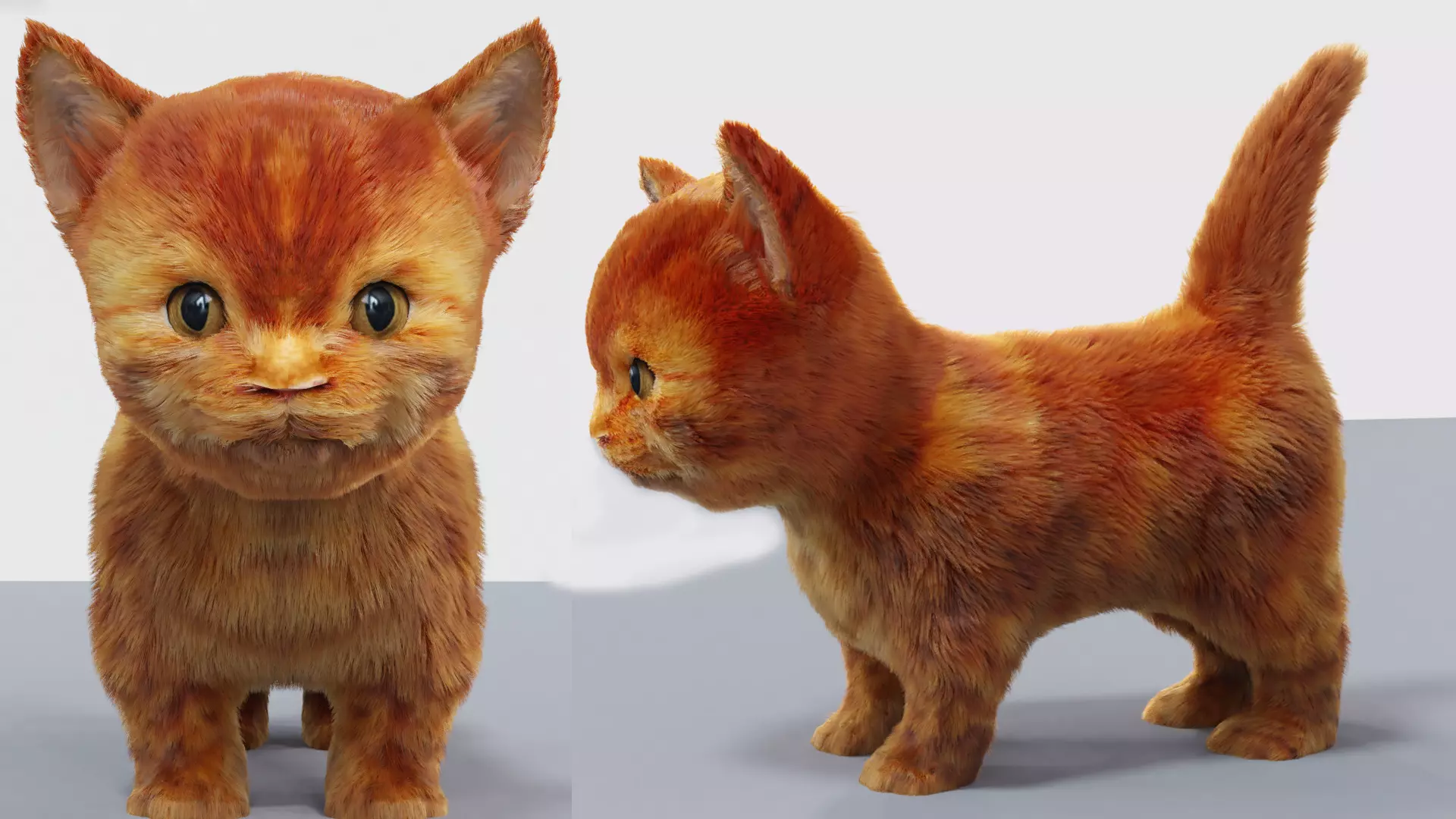 Fur Cute Cat kitten Red 02 No Rig Low-poly 3D model_0