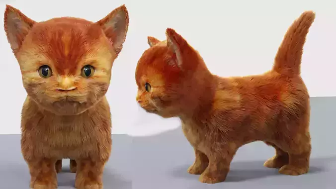 Fur Cute Cat kitten Red 02 No Rig