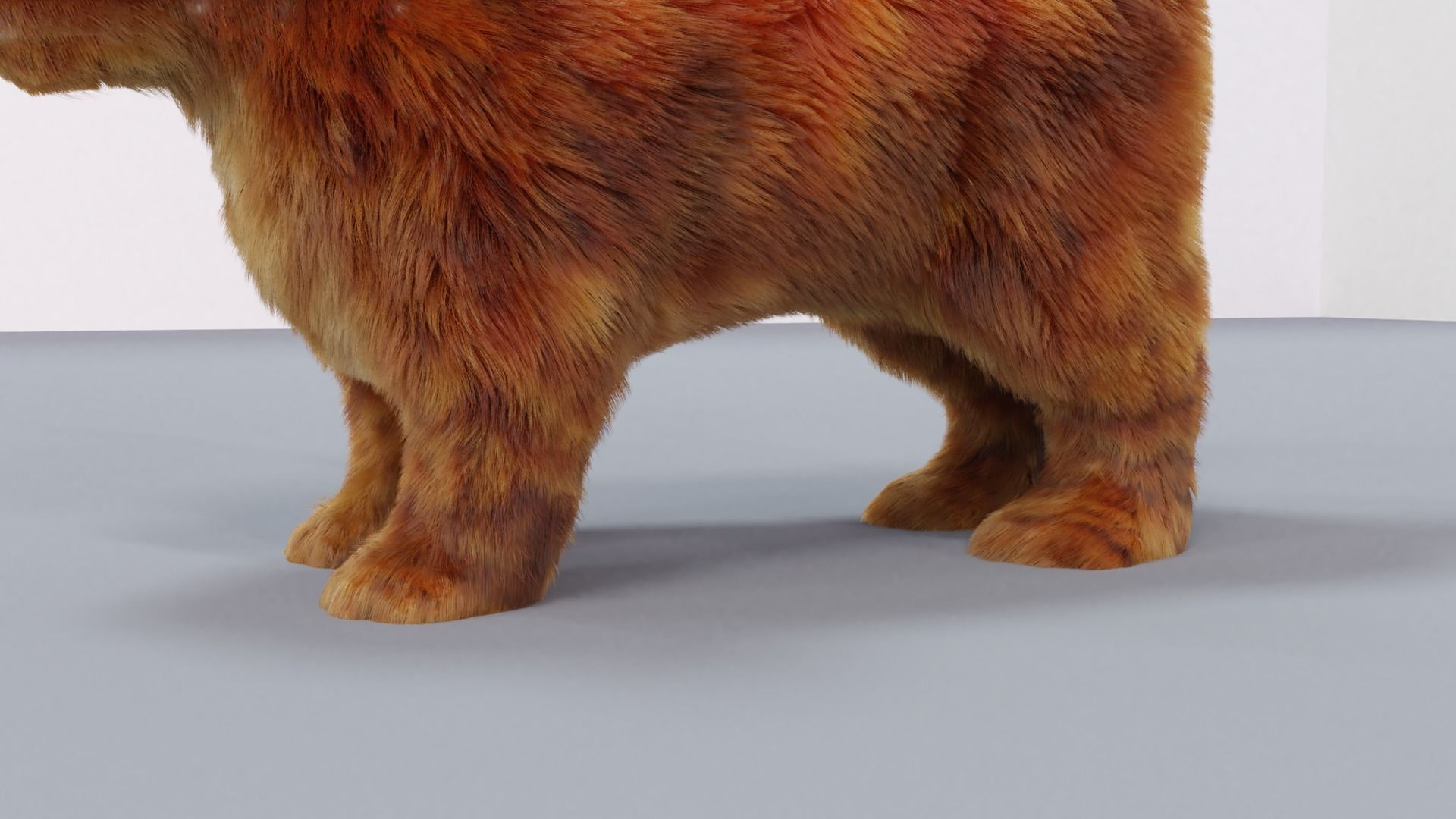 Fur Cute Cat kitten Red 02 No Rig Low-poly 3D model_3