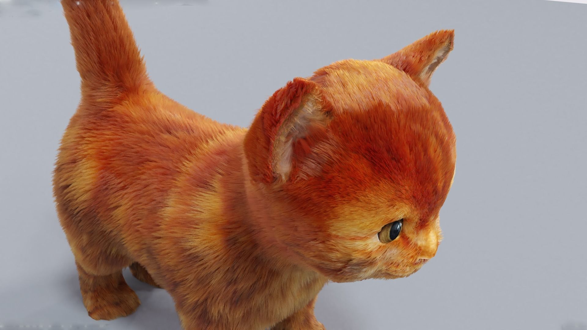 Fur Cute Cat kitten Red 02 No Rig Low-poly 3D model_5