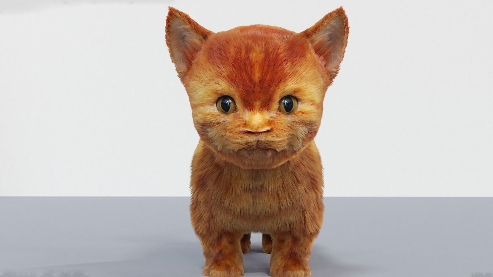 Fur Cute Cat kitten Red 02 No Rig Low-poly 3D model_4