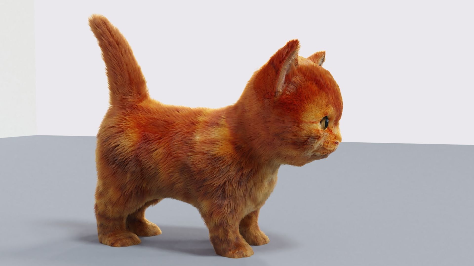 Fur Cute Cat kitten Red 02 No Rig Low-poly 3D model_6