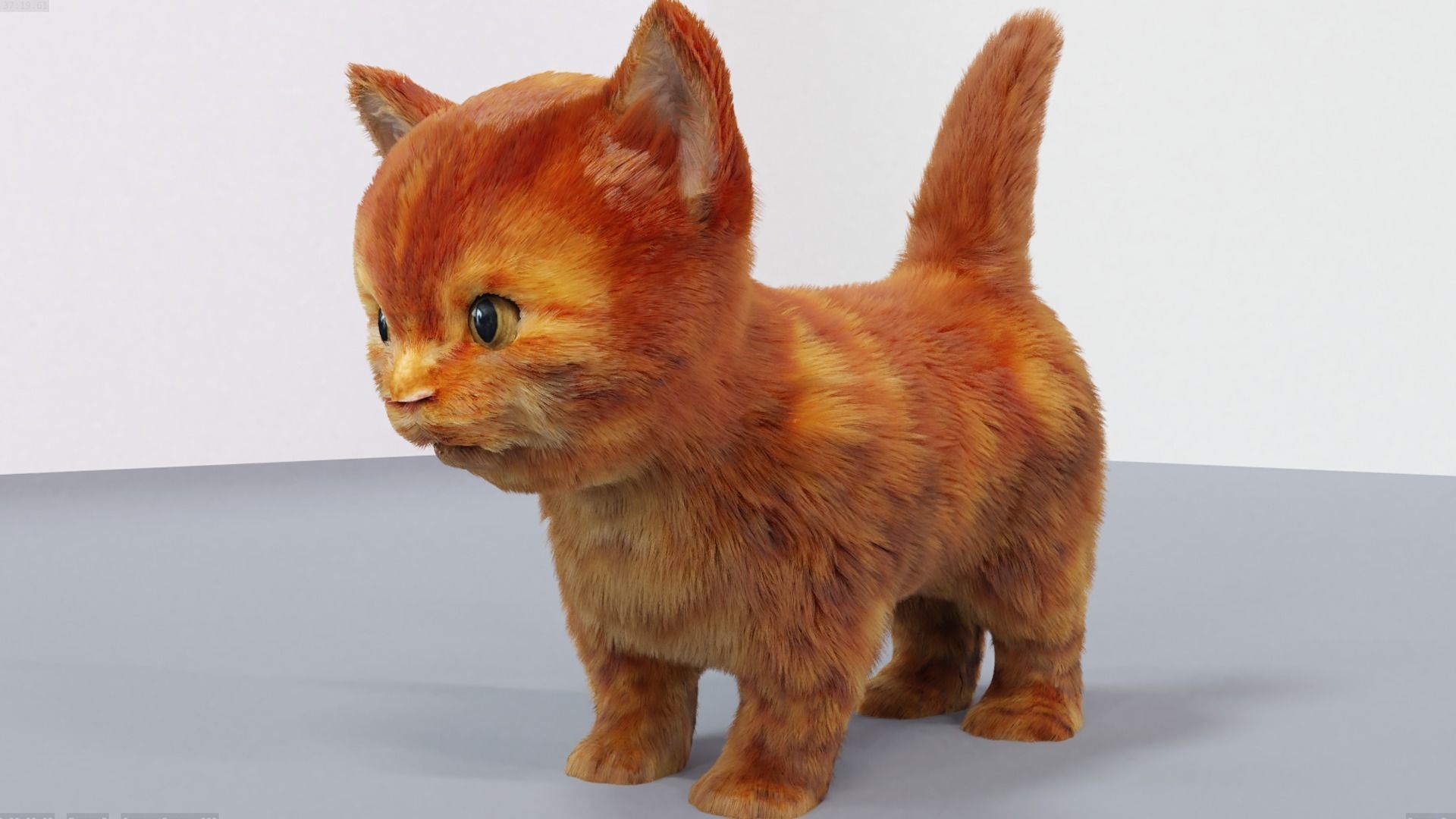 Fur Cute Cat kitten Red 02 No Rig Low-poly 3D model_1