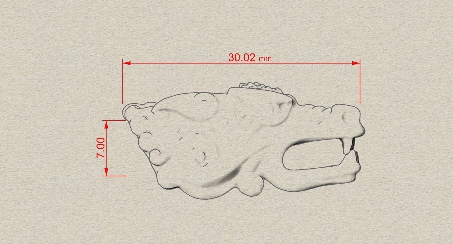 dragon  3D print model 3D print model_6