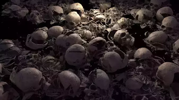 Broken Skulls with Spider Webs COLLECTION 3D model