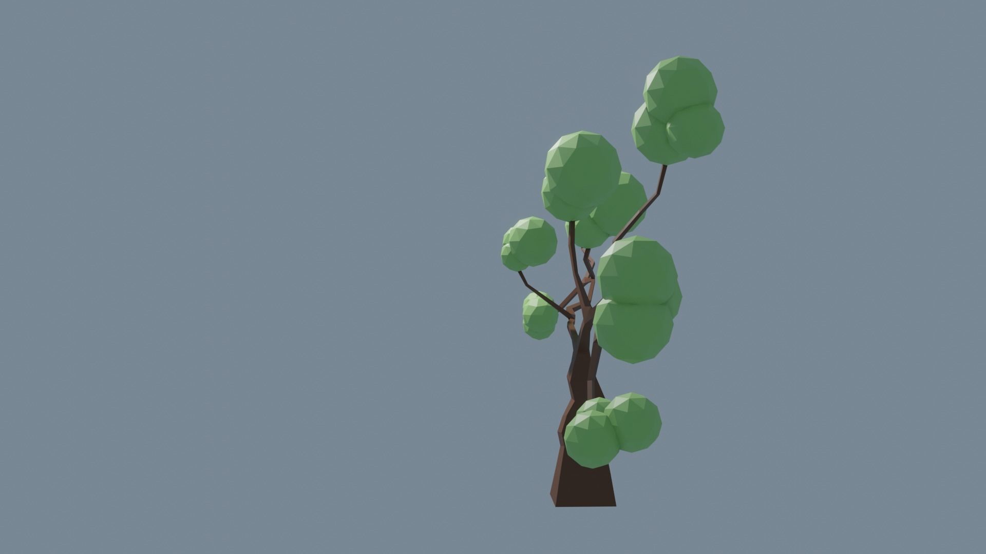 Low Poly Tree 1 3D model_18