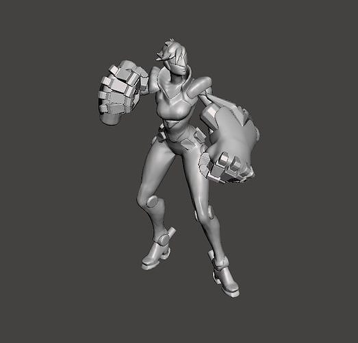 Project VI 3D Model 3D print model