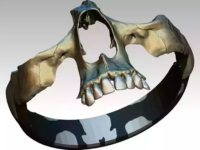 Part  Skull Ring Men Woman Gothic  3D print model