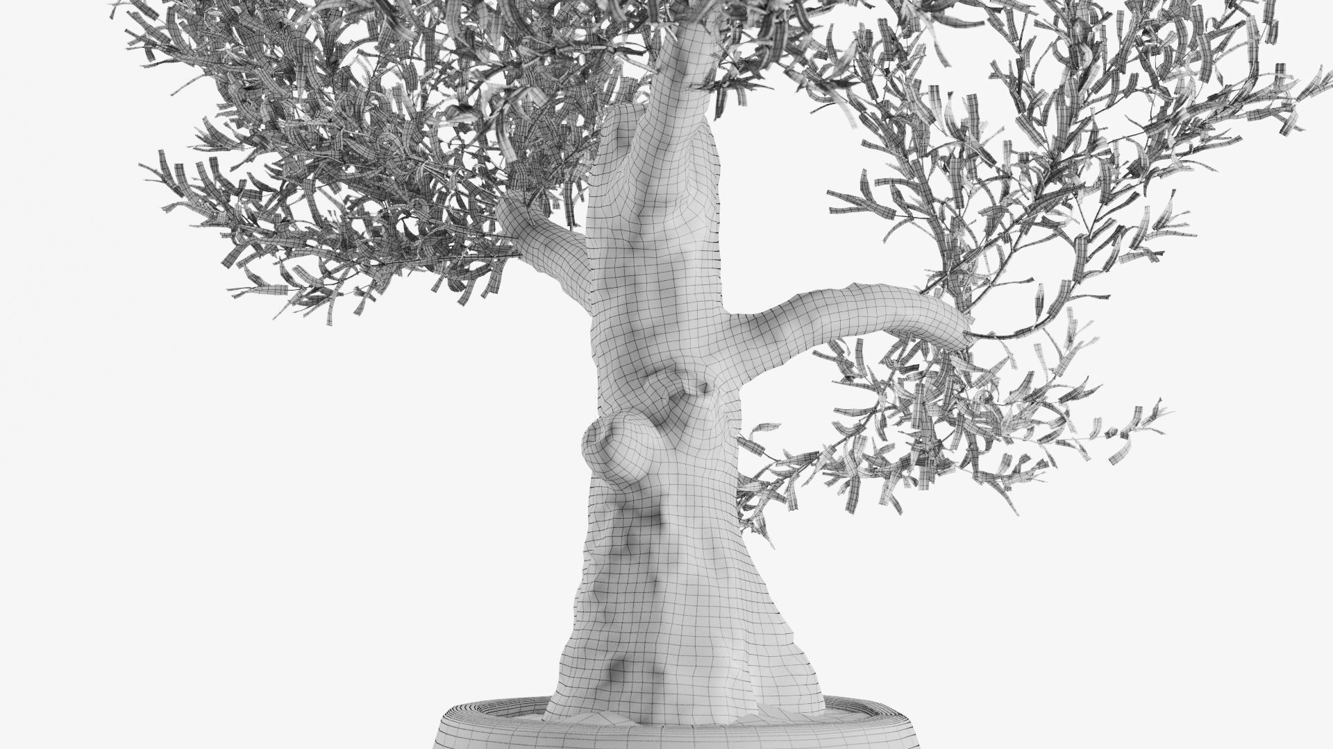 Old Olive Trees In Stone Pots 3D model_8