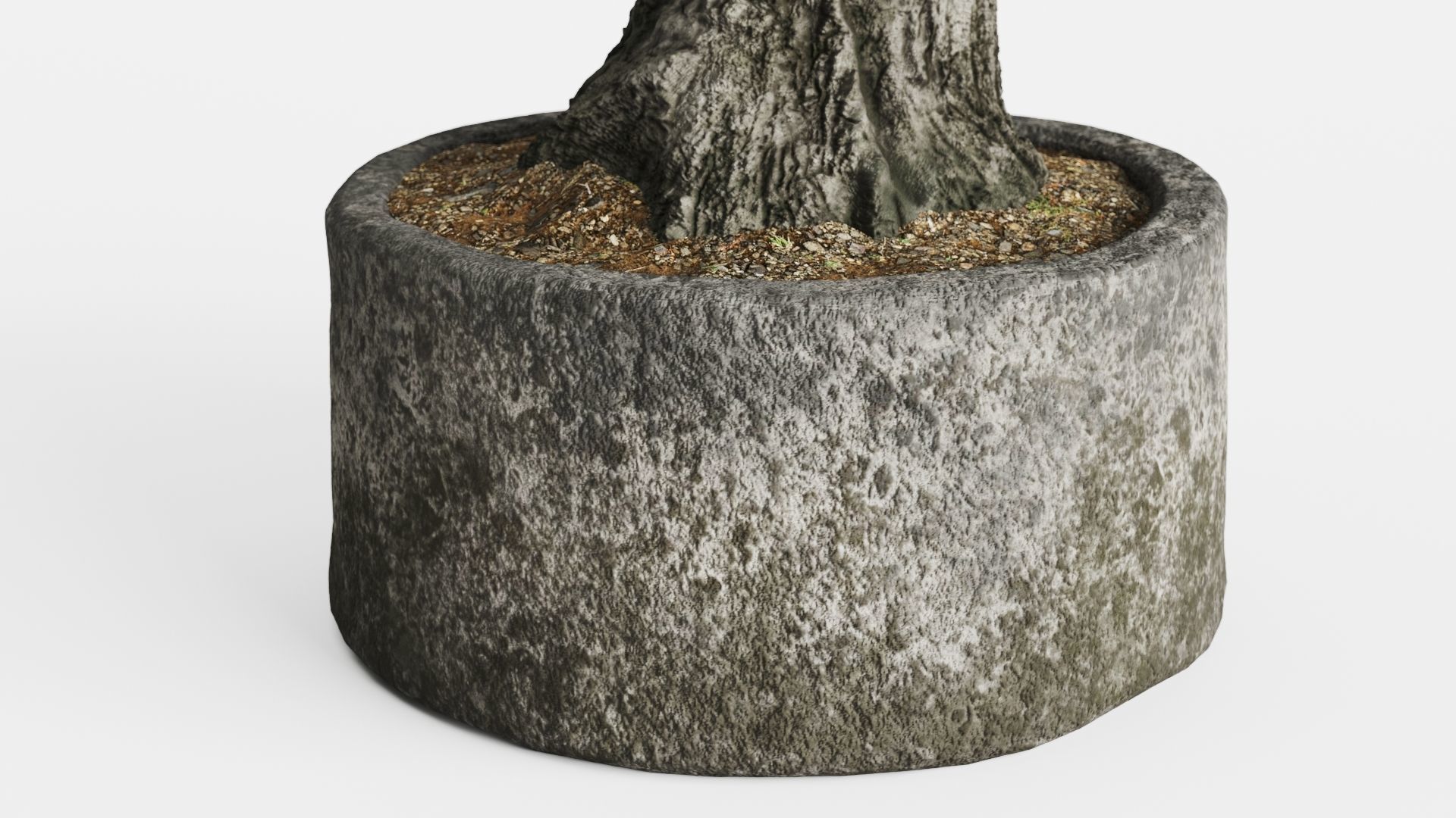 Old Olive Trees In Stone Pots 3D model_12