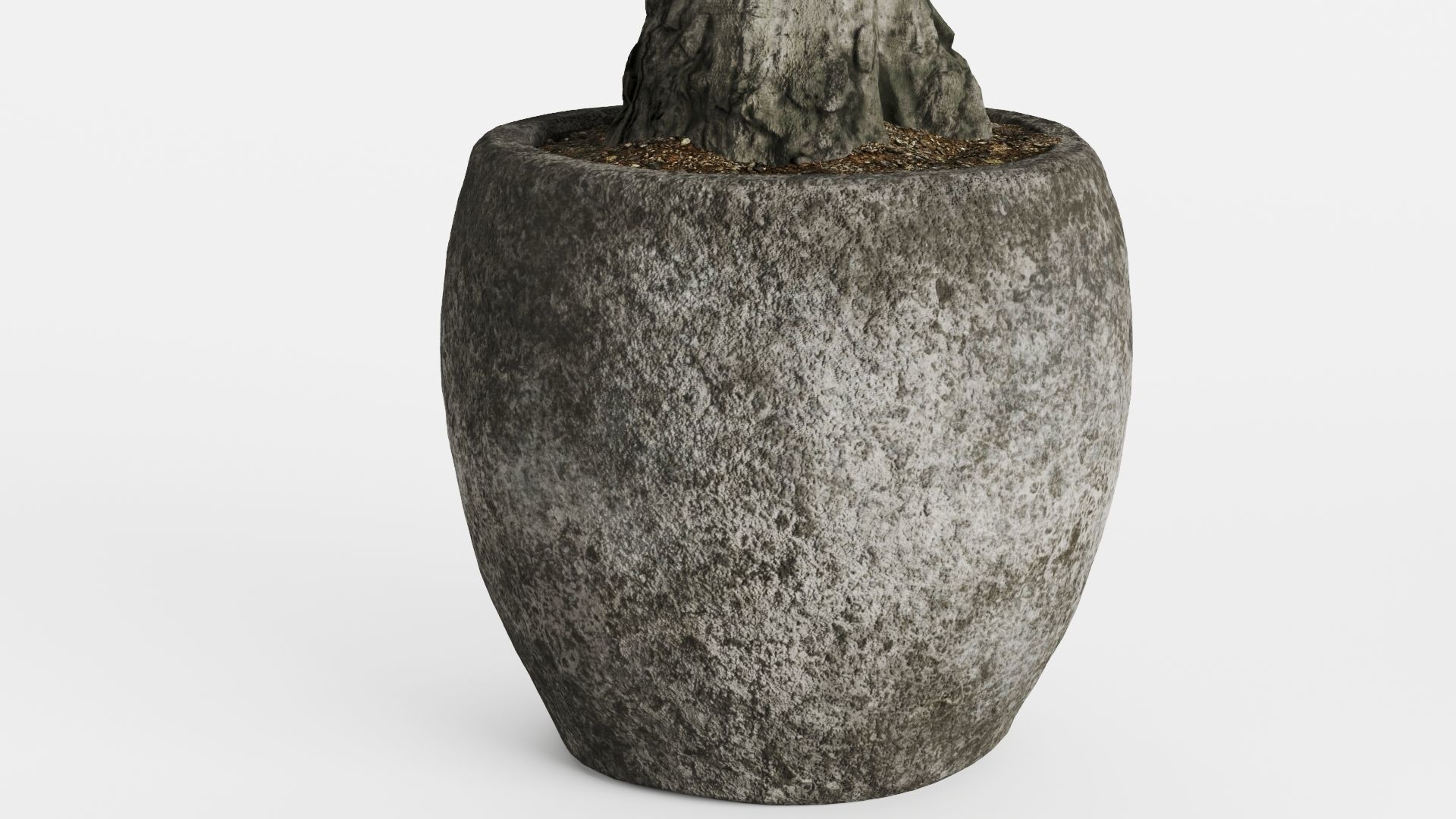 Old Olive Trees In Stone Pots 3D model_13