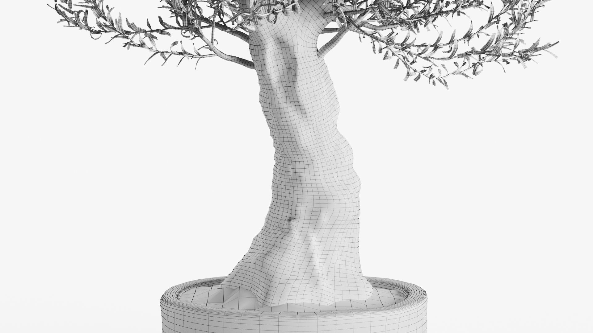 Old Olive Trees In Stone Pots 3D model_6