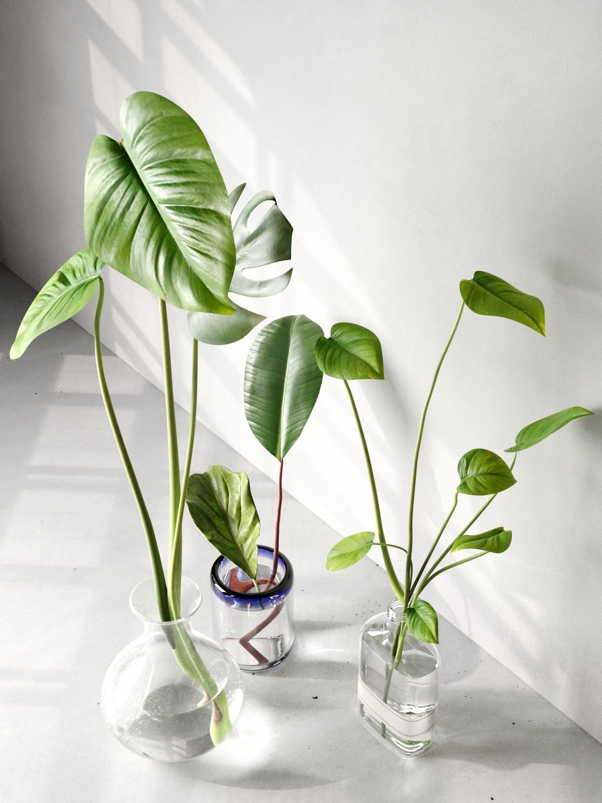 Glass Vases with Leaves 2 3D model_1