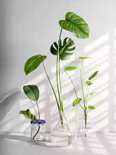 Glass Vases with Leaves 2 3D model Glass Vases with Leaves 2 3D model