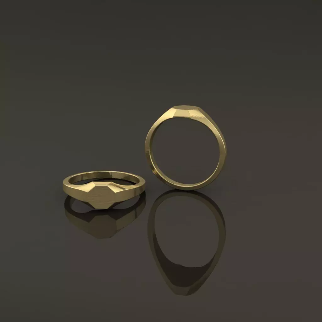 Dainty Thin Signet Octagon Round Mix Size 3D print model_0
