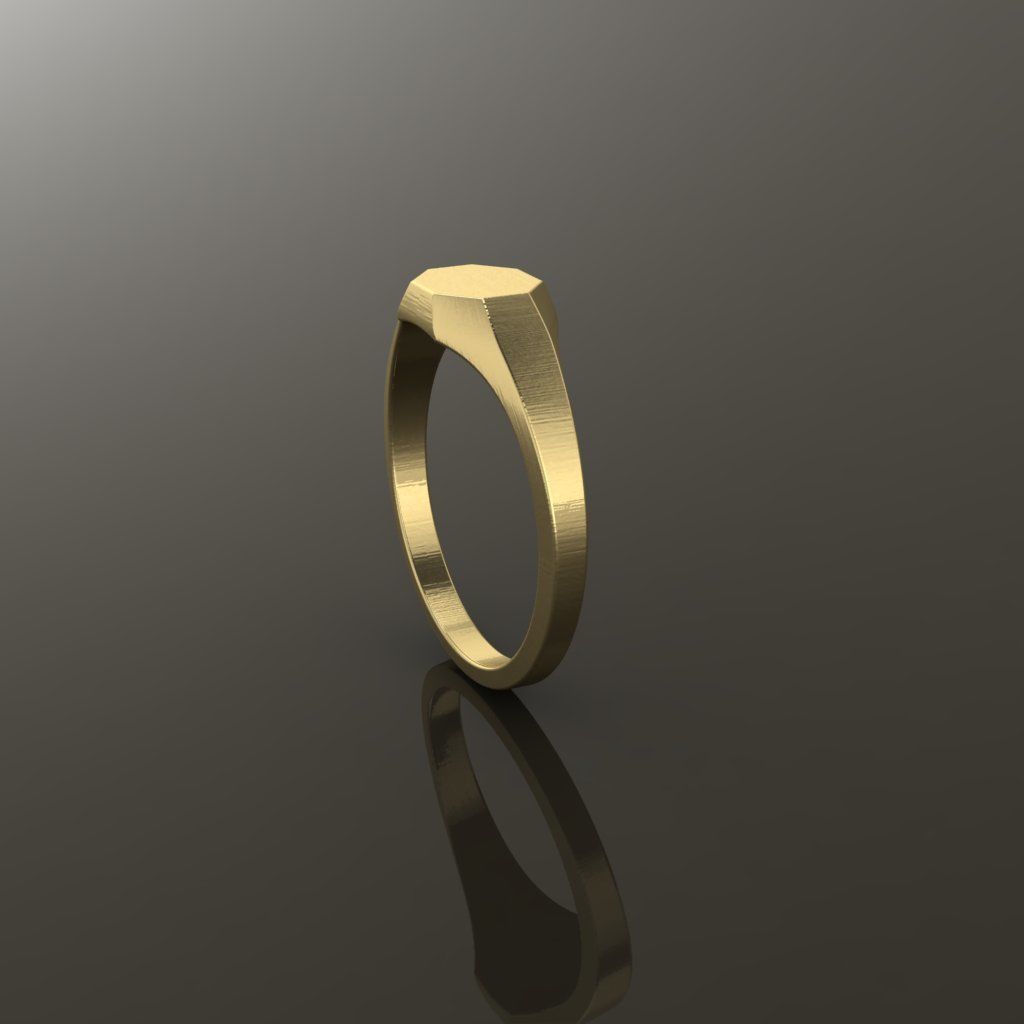 Dainty Thin Signet Octagon Round Mix Size 3D print model_5