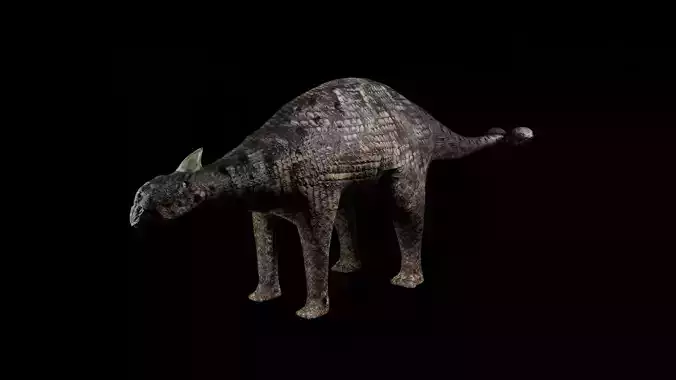 Ankylosaurs dinosaur