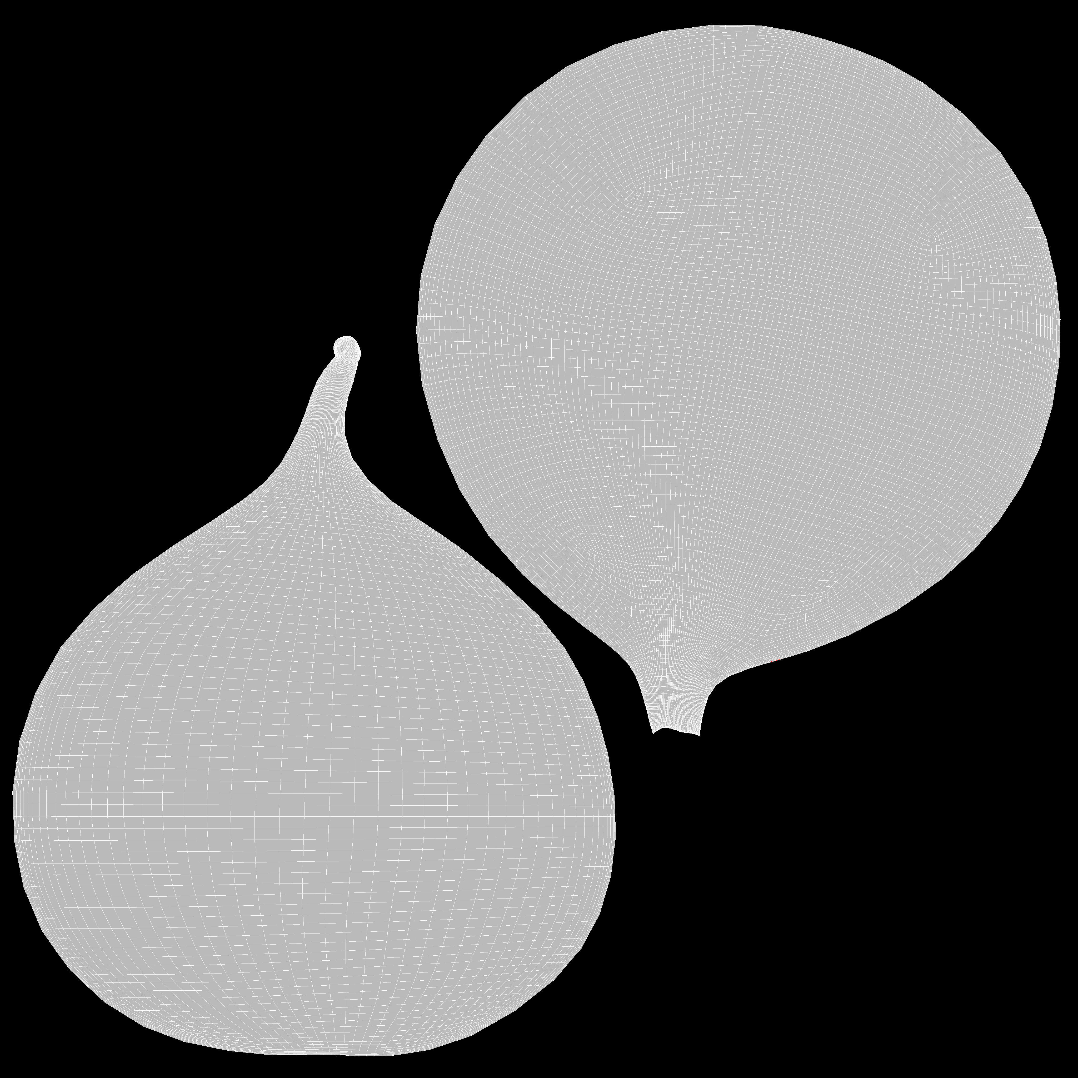 Figs and Black Tableware 3D model_12