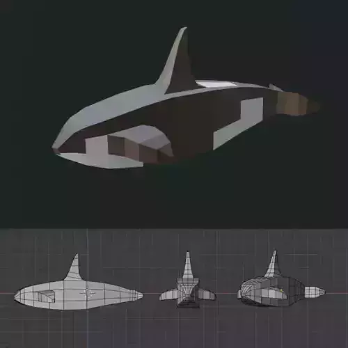 Whale Low Poly 3d Model orca