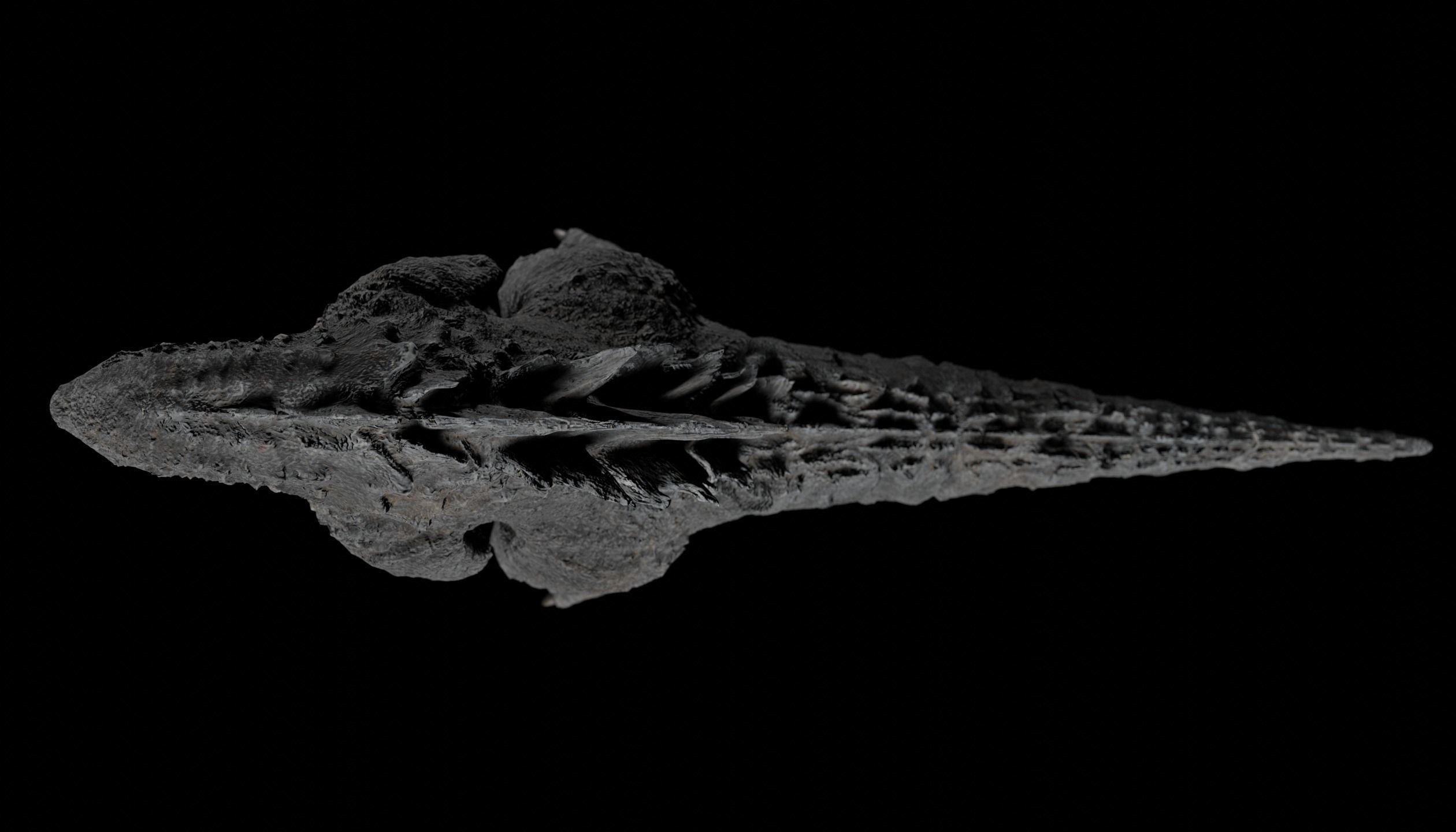 Godzilla kaiju titan Low-poly 3D model_20