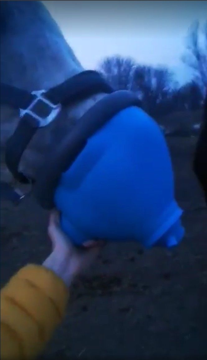 Inhalation mask nebulizer for a horse 3D print model_1