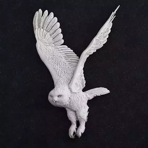 Polar owl bird
