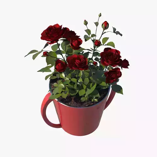 Red Rose Pot