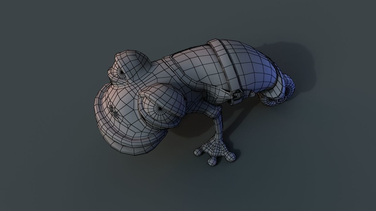 Strange frog 3D model_7